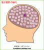 %C9%D3%BB%D2%CE%A4%C5%AA%26%2340060%3B.gif