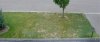 DSC07165 - Copy.jpg