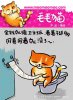 0b83a3c279638cf7ed3d555e4b7884b7_503206.jpg
