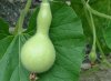 DSC04035.jpg