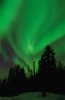 northernlights.jpg