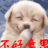buhaoyisi.gif