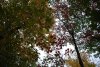 DSC_0924.jpg