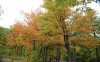 DSC_0977.jpg
