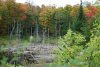 DSC_0986.jpg