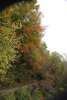 DSC_0990.jpg
