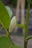 DSC_0003-1.jpg