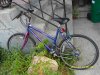 SDC10006.jpg