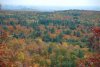DSC_1129.jpg