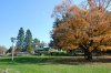DSC_1078.jpg