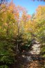 DSC_1085.jpg