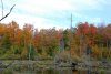 DSC_1109.jpg
