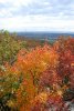 DSC_1150.jpg