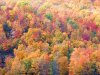 DSCF1488_副本.jpg