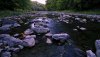 GatineauPark2011-6.jpg