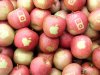appleonapple.jpg
