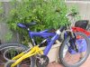 DSCF4104.JPG