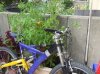 DSCF4105.JPG