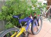 DSCF4107.JPG