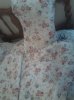 WP_000069.jpg