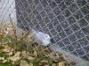 IMG-20111107-00130.jpg