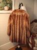 Racoon coat back.JPG