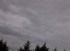 IMG-20111110-00580.jpg