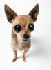 215_1600_websbook_com.jpg