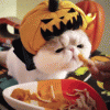 123933ddw30ougoyochoyo.gif