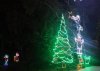 IMG_0215.JPG