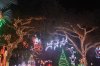 IMG_0247.JPG