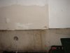DSC04693.jpg