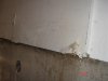 DSC04694.jpg