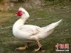 Img308356809.jpg