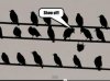 Show Off.JPG