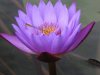P1010325.jpg