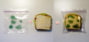 moldy_bag_1.png