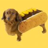 dachshund.jpg
