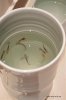fish.jpg