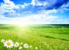 Fotolia_11386916_XS.jpg