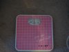 DSC01639.jpg