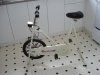 DSC01657.JPG