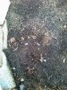 20120313688.jpg