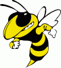 BigYellowJacket.gif