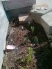 20120321694.jpg