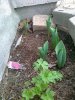 20120323696.jpg
