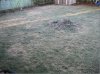 738 YARD002.JPG