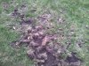 2012-04-10 17.46.38.jpg