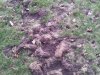 2012-04-10 17.46.50.jpg