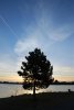 DSC_0012.jpg